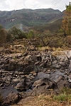 _MG_9364_SaniPass.jpg