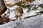 Filename=watermark13.jpg
Filesize=512KiB
Dimensions=900x599
Date added=Feb 20, 2008 watermark13.jpg