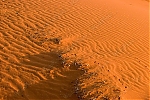 Filename=_MG_4977_Kalahari_Sanddunes.jpg
Filesize=131KiB
Dimensions=900x600
Date added=Oct 12, 2006 _MG_4977_Kalahari_Sanddunes.jpg