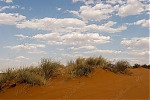 Filename=_MG_5166_Kalahari_Sky.jpg
Filesize=148KiB
Dimensions=900x600
Date added=Oct 12, 2006 _MG_5166_Kalahari_Sky.jpg